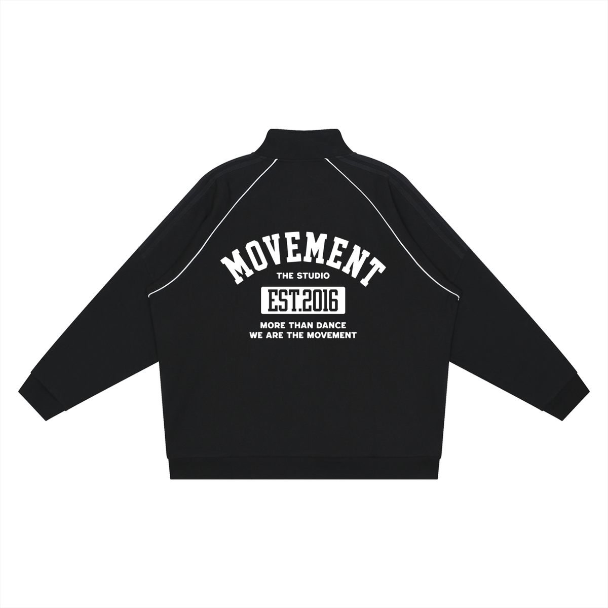 Adult Reflection Striped Zip Up